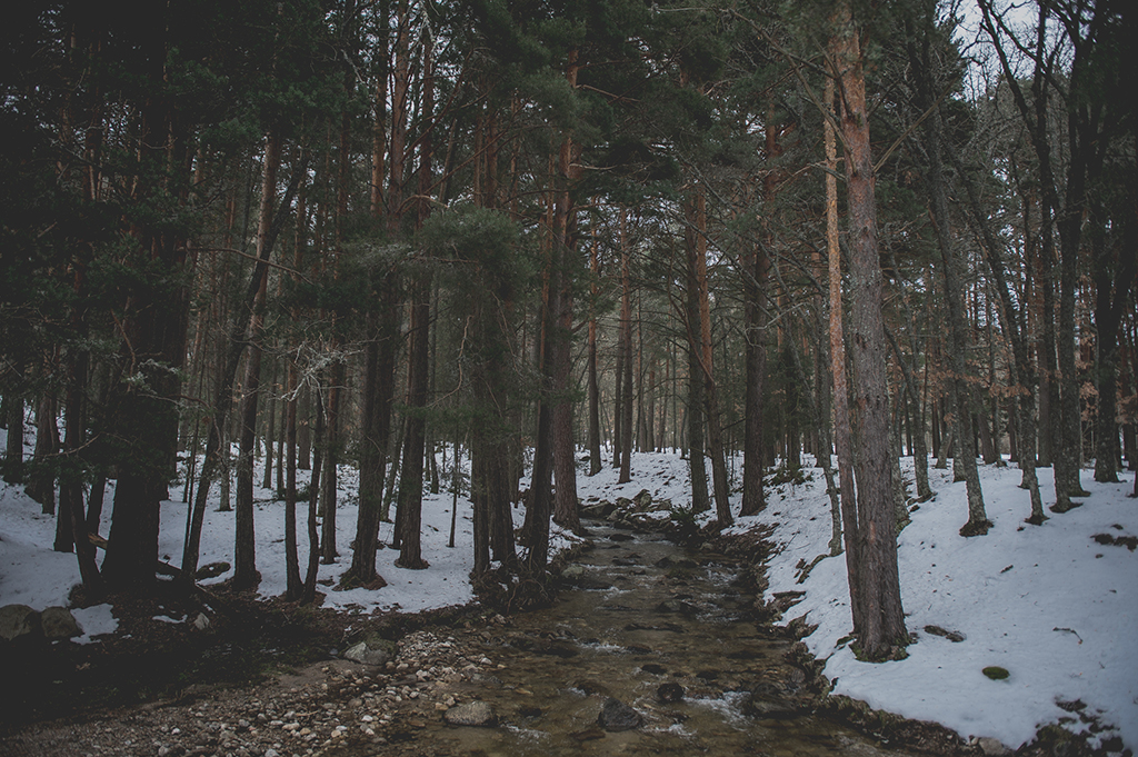 Preboda Almudena y Victor-111