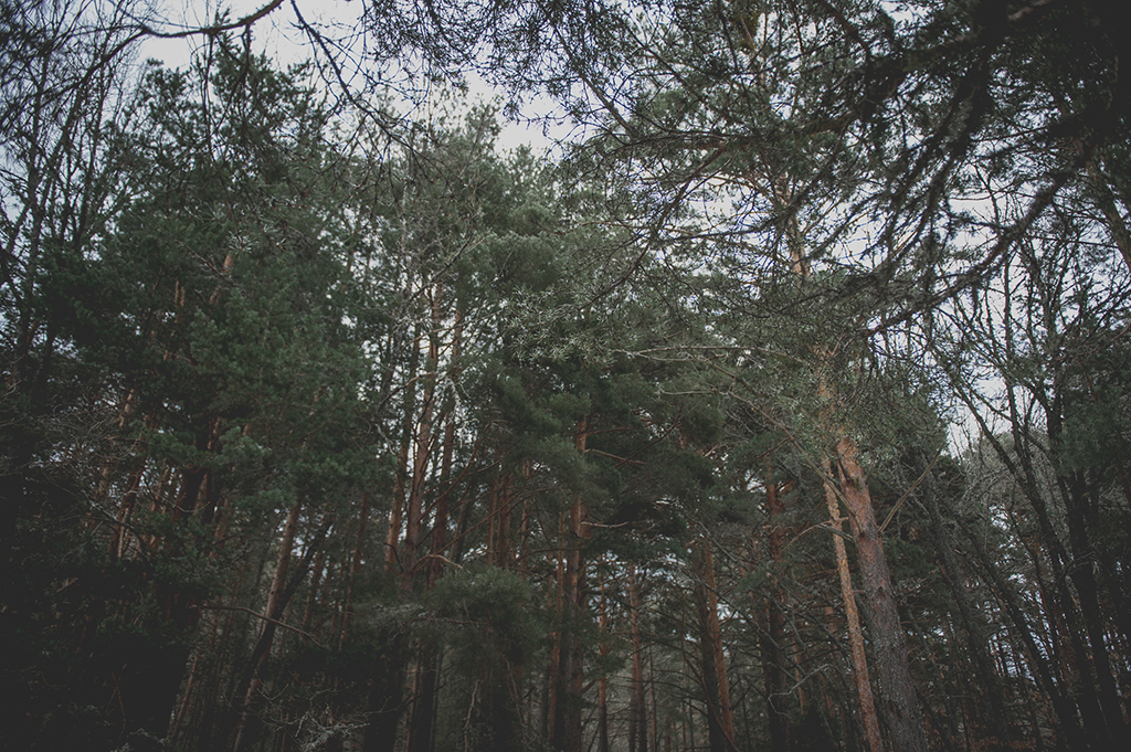 Preboda Almudena y Victor-112