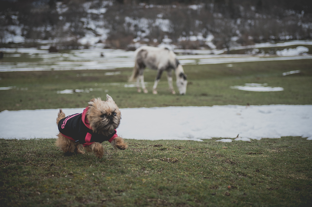 Preboda Almudena y Victor-12