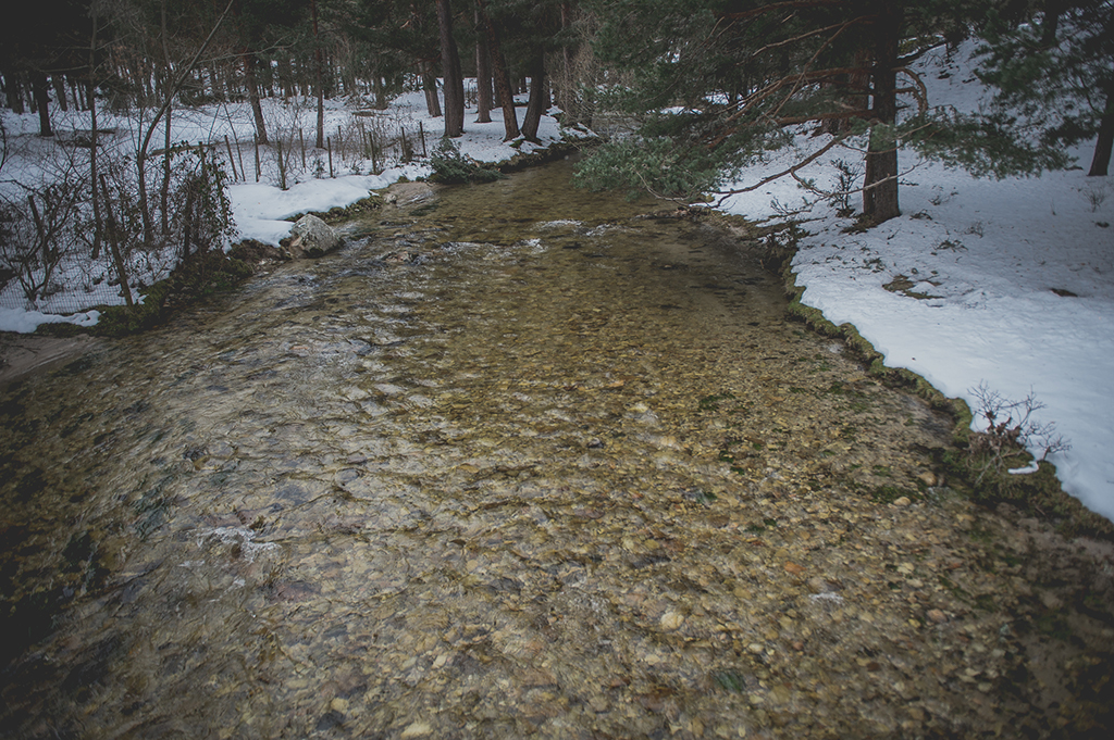 Preboda Almudena y Victor-99
