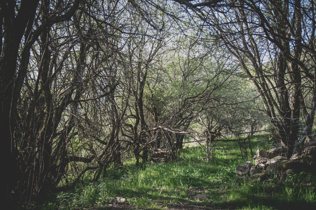 Preboda Jesus y Ana-1