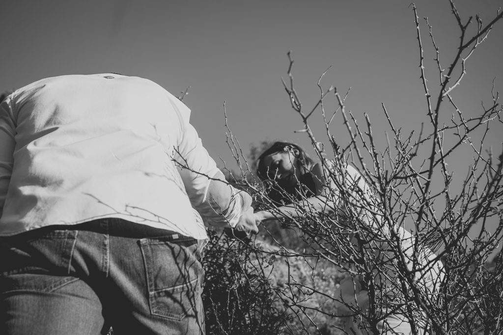 Preboda Jesus y Ana-74